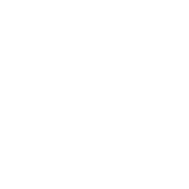 Partner 5