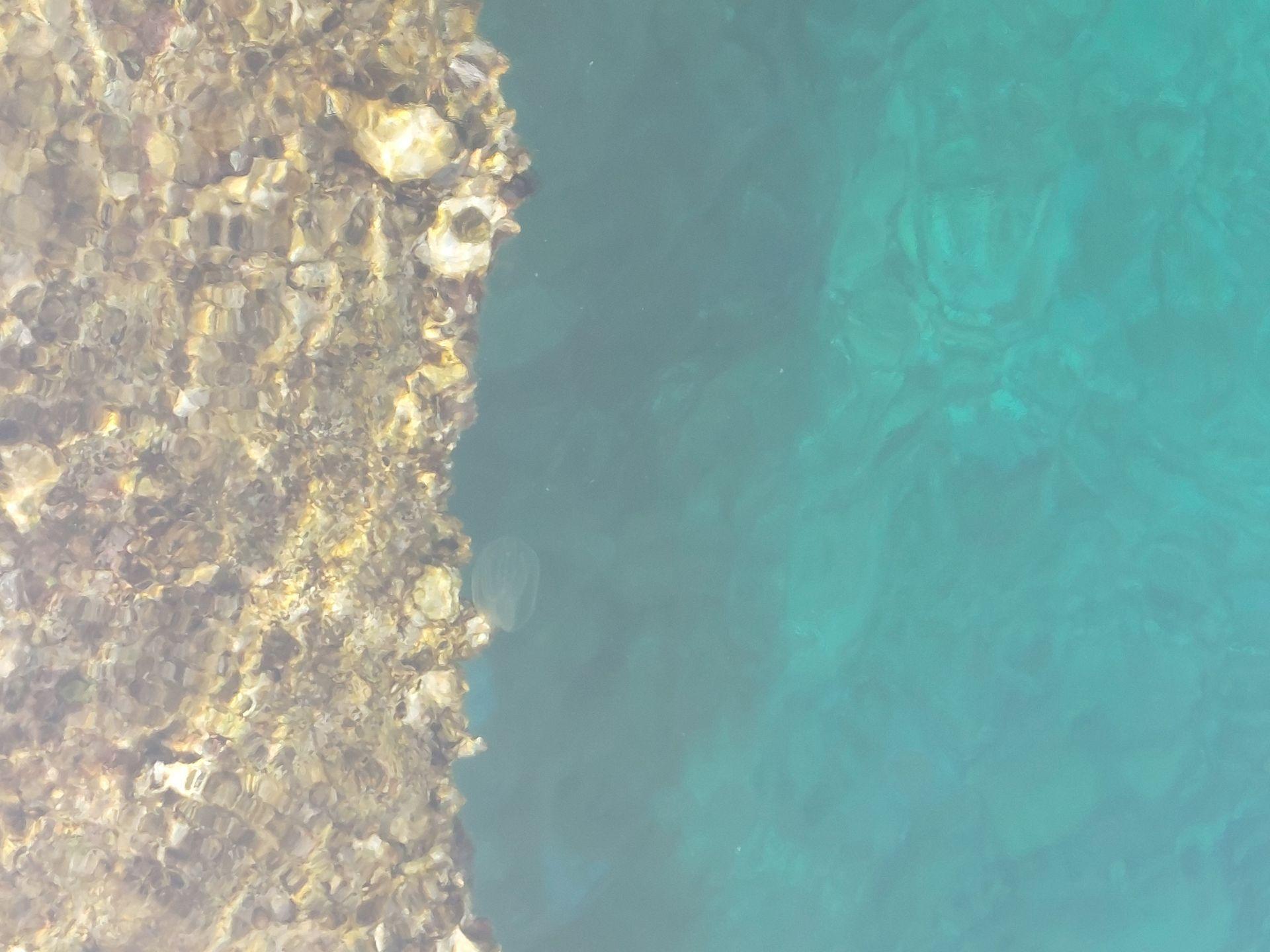 1716829631256-62e41f39-c811-495d-9c58-2794ff1bd995.jpeg