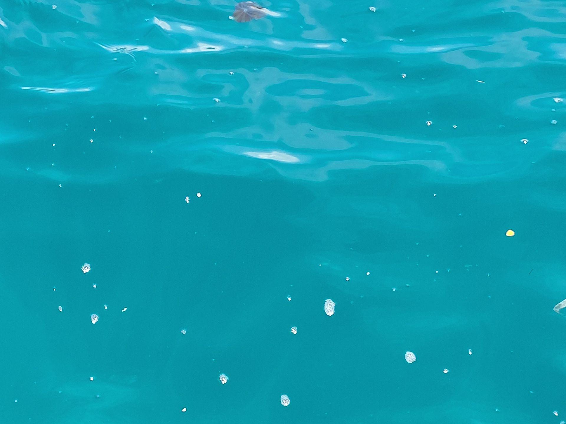 1717414786196-8b102aab-835f-4609-9483-991f14ed4699.jpeg