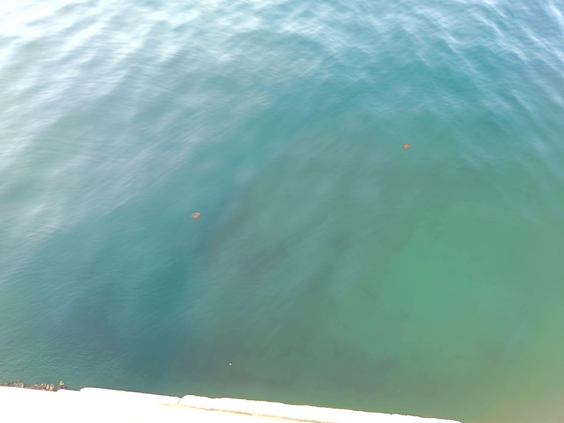 1752863891121-IMG_20250718_200426.jpg